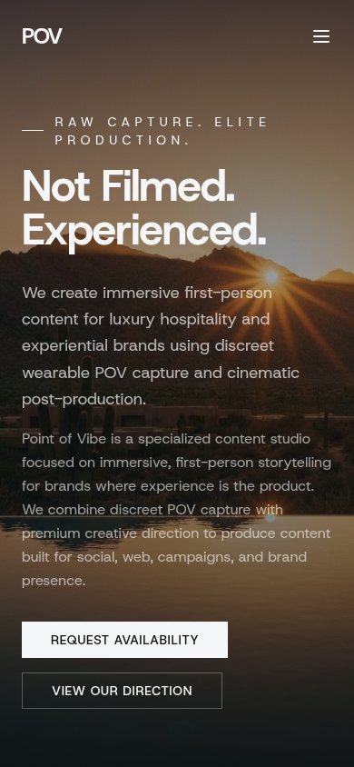 Point of Vibe website on mobile